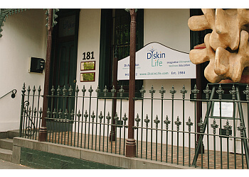 Dr Ari Diskin Healthy Life Doctor of Chiropractic (USA) - DISKIN LIFE