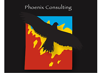 Dr Damien Howard - PHOENIX CONSULTING