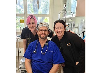 Dr Paws Anakie Road Veterinary Clinic