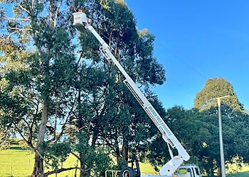 Drouin Tree Services