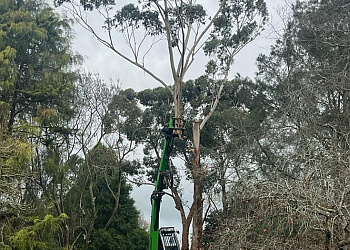 Drouin Tree Services