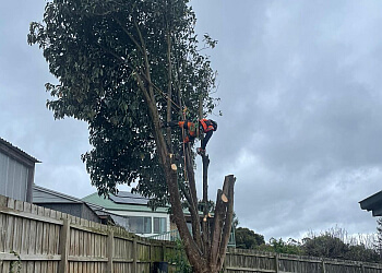 Drouin Tree Services