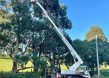 Drouin Tree Services