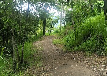 Earl Hill Summit Track