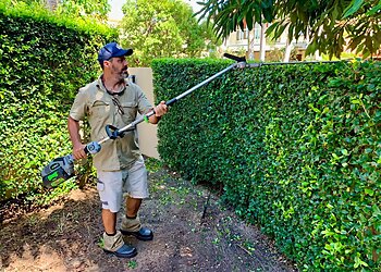 Sunshine Coast Lawn Care Services Eco Noosa Property Services image 1