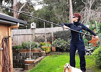 Eco Window and Solar Panel Cleaning