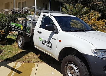 3 Best Pest Control Companies In Perth, WA - Expert Recommendations