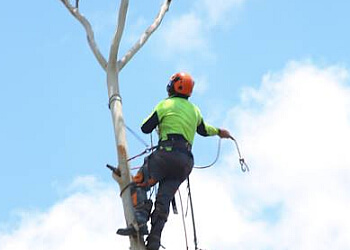 Eden Tree Service