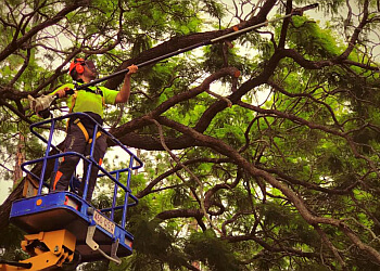 Eden Tree Service