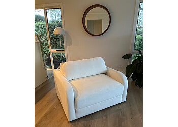 Electrodry Carpet Cleaning