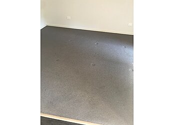 Electrodry Carpet Dry Cleaning