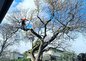 Embark Tree Services