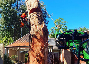 Embark Tree Services