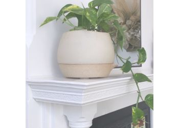 Emily Burton - Positive Wellbeing Psychology