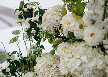 Etc. Wedding & Event Styling