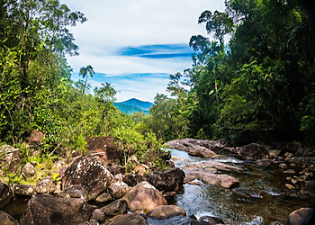 Eungella National Park