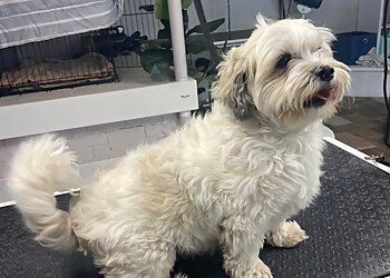 Every Man & His Dog Groomers