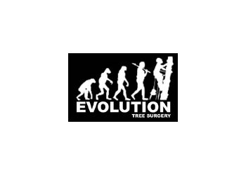 Evolution Trees
