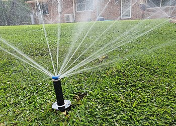 Fergie's Total Lawn Care