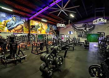 Fitness Cartel Health Clubs Tweed Heads