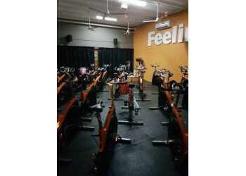 five star gym prices
