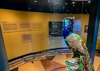 Flagstaff Hill Maritime Village