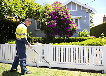 Flick Pest Control Bundaberg