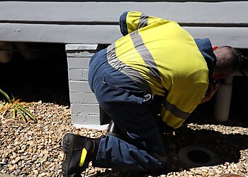 Flick Pest Control Port Macquarie