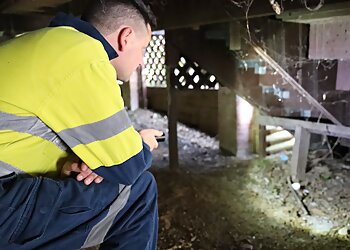 Flick Pest Control Wagga Wagga