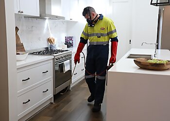 Warrnambool Pest Control Companies  Flick Pest Control Warrnambool image 1