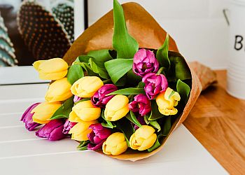 Flowers Across Sydney