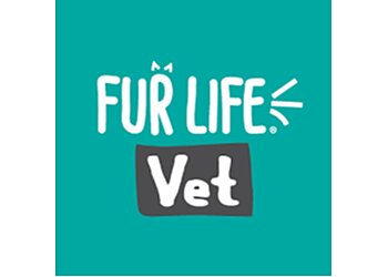 Harbour City Veterinary Surgery