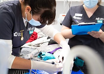 Fur Life Vet Shepparton