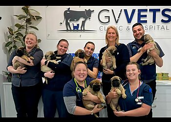 GV Vets