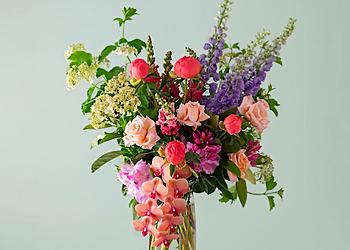 Gardenia Magnifica Flowers