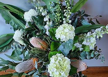 Gardenia Magnifica Flowers Gardenia Magnifica Flowers