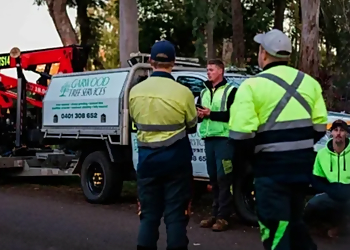 Garwood Tree Services