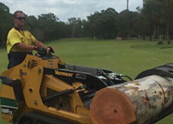 Geoff’s Tree Lopping Services