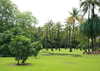 George Brown Darwin Botanic Gardens