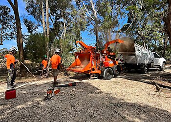 Gervis Tree Services