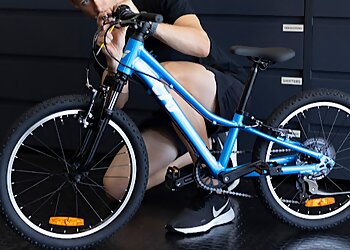 Giant Sunshine Coast