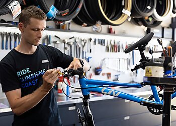 Giant Sunshine Coast