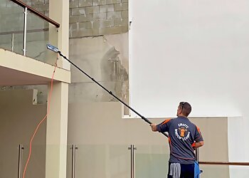 Giraffe Window Cleaning