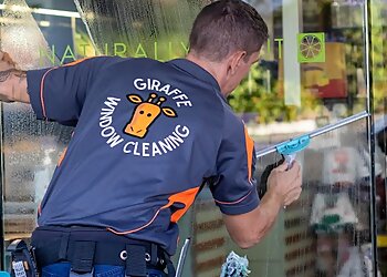 Giraffe Window Cleaning