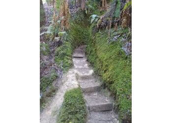 Glen Nayook Rainforest Walk