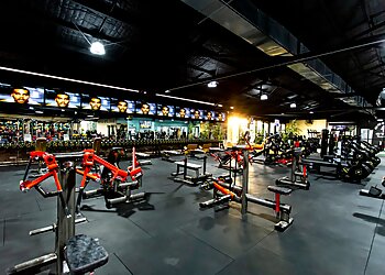 Gold's Gym Toowoomba