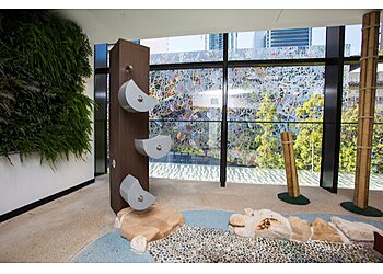 Goodstart Brisbane Adelaide Street