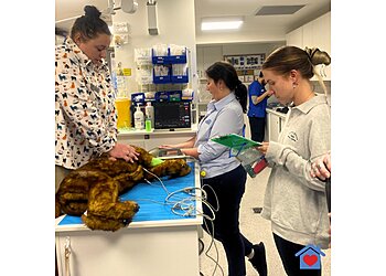 Greater Springfield Veterinary