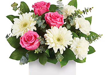 Green Goddess Flowers