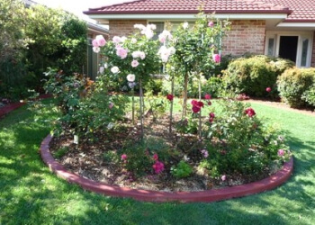 Greener Gardens Gardening Service